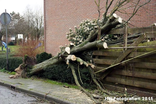 Henry-Wallinga©-Boom-Stormschade-Hasselt-08