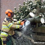 Henry-Wallinga©-Boom-Stormschade-Hasselt-10