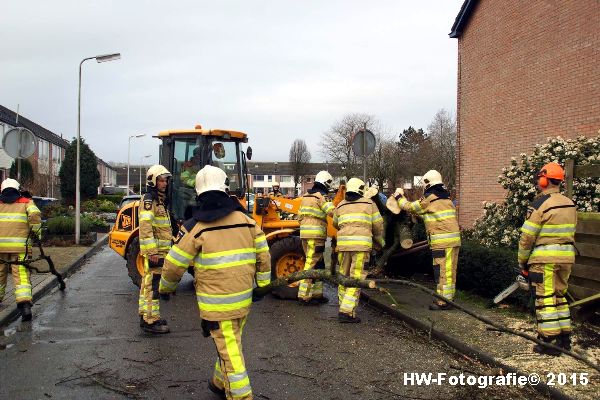 Henry-Wallinga©-Boom-Stormschade-Hasselt-11