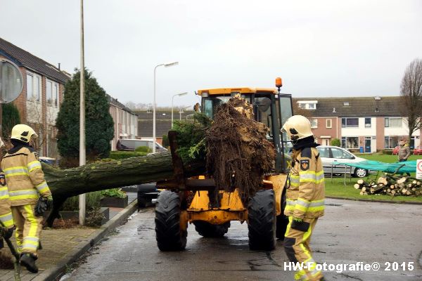 Henry-Wallinga©-Boom-Stormschade-Hasselt-12