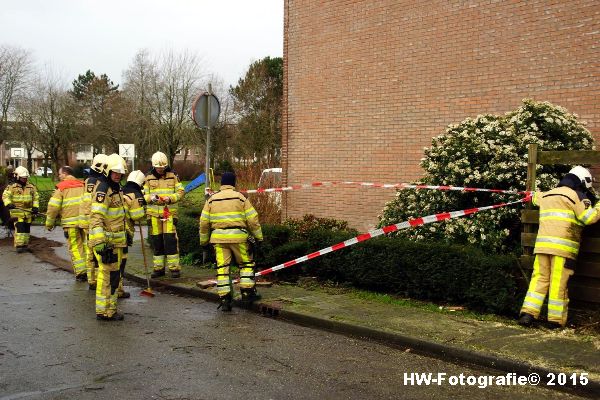 Henry-Wallinga©-Boom-Stormschade-Hasselt-13