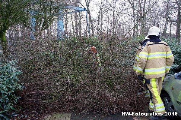 Henry-Wallinga©-Boom-Stormschade-Hasselt-14