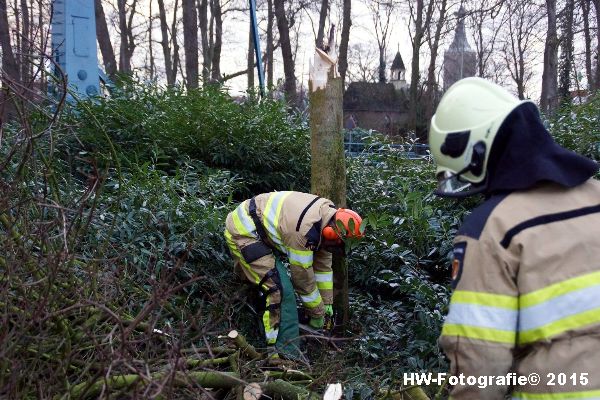 Henry-Wallinga©-Boom-Stormschade-Hasselt-15