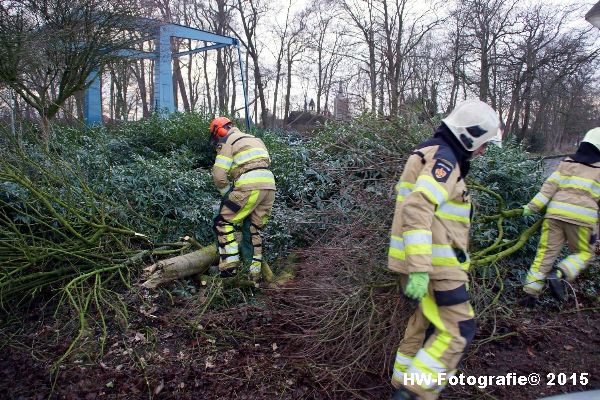 Henry-Wallinga©-Boom-Stormschade-Hasselt-16