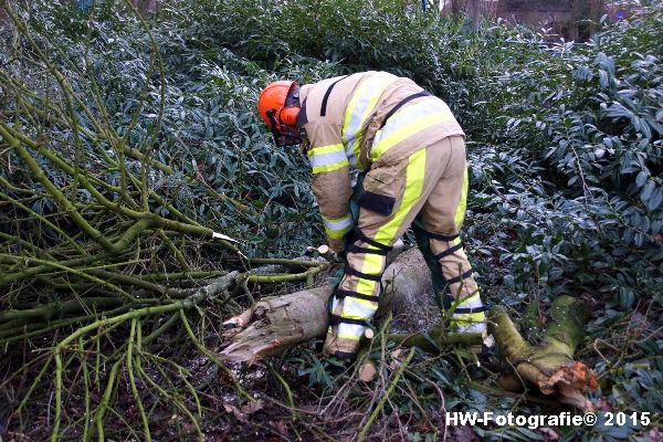 Henry-Wallinga©-Boom-Stormschade-Hasselt-17