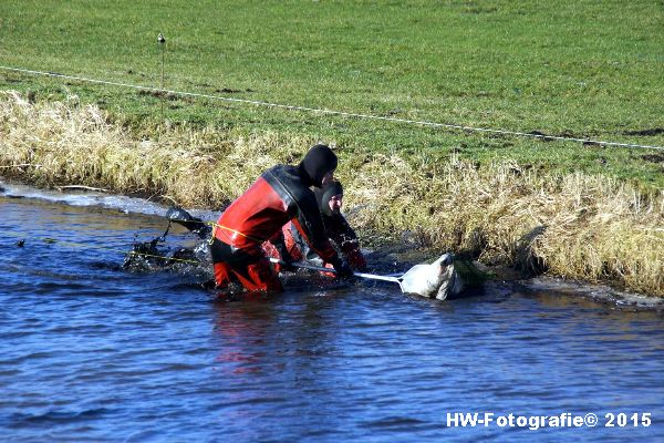 Henry-Wallinga©-Gewonde-Zwaan-Kerkwetering-Mastenbroek-12