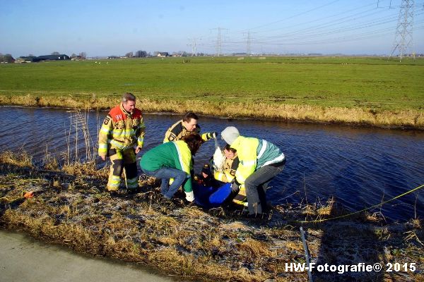 Henry-Wallinga©-Gewonde-Zwaan-Kerkwetering-Mastenbroek-13