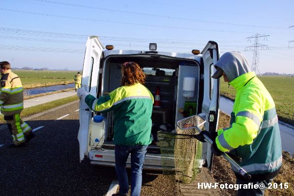 Henry-Wallinga©-Gewonde-Zwaan-Kerkwetering-Mastenbroek-15