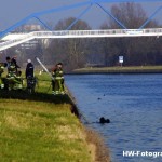 Henry-Wallinga©-Zoekactie-Zwolle-IJsselkanaal-13