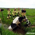 Henry-Wallinga©-Koe-Sloot-Zwartsluis-07