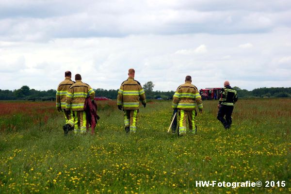 Henry-Wallinga©-Koeien-Sloot-Zwartsluis-12