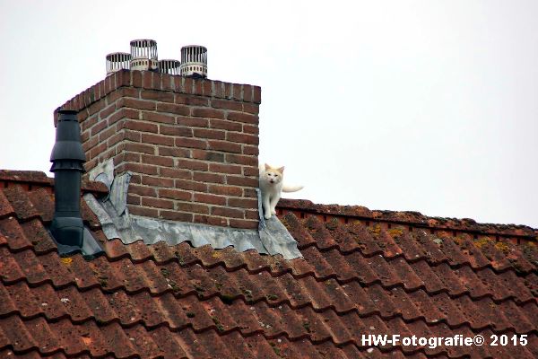 Henry-Wallinga©-Poes-Dak-Genemuiden-01