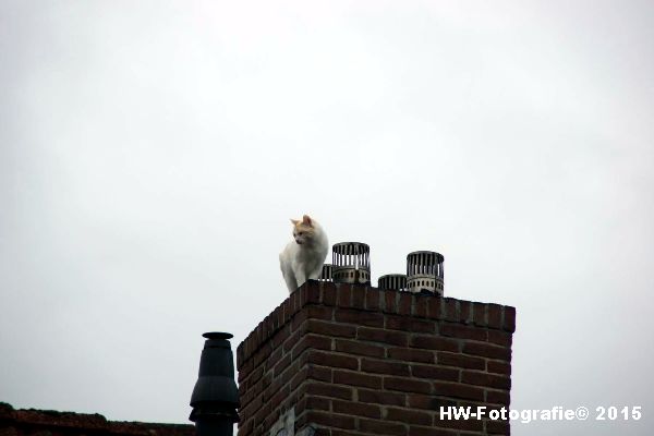 Henry-Wallinga©-Poes-Dak-Genemuiden-02