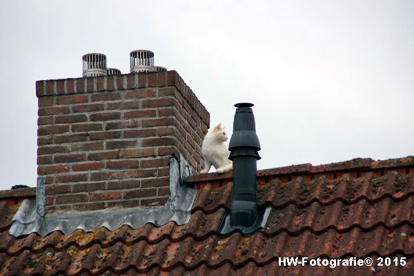 Henry-Wallinga©-Poes-Dak-Genemuiden-04