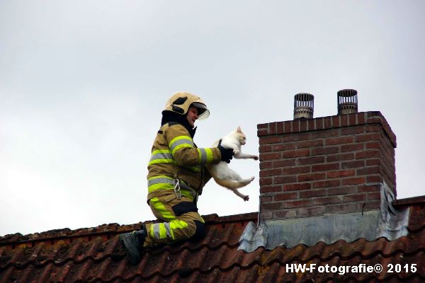 Henry-Wallinga©-Poes-Dak-Genemuiden-07