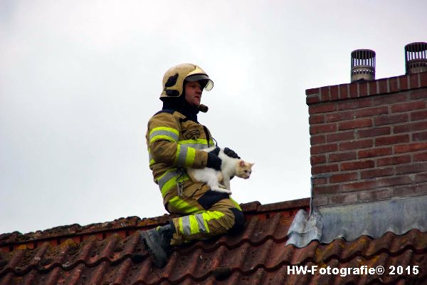 Henry-Wallinga©-Poes-Dak-Genemuiden-08