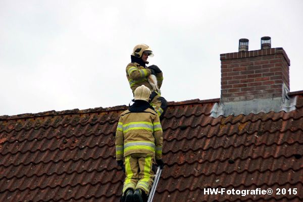 Henry-Wallinga©-Poes-Dak-Genemuiden-10