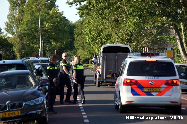 Henry-Wallinga©-Wildwest-Koe-Giethoorn-04