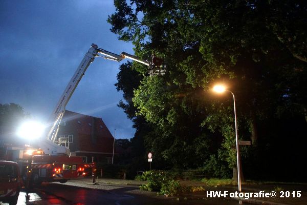 Henry-Wallinga©-Gevaarlijke-Takken-Hasselt-05