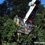 Henry-Wallinga©-Gevaarlijke-Takken-Hasselt-06