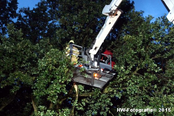 Henry-Wallinga©-Gevaarlijke-Takken-Hasselt-06