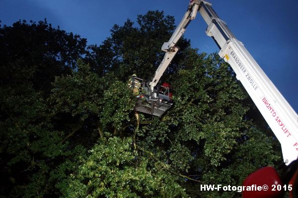 Henry-Wallinga©-Gevaarlijke-Takken-Hasselt-07