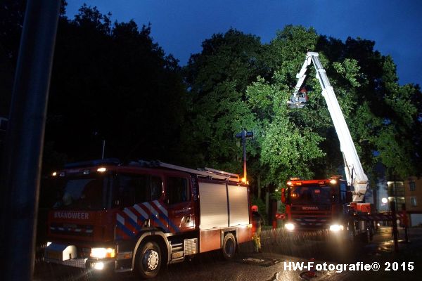 Henry-Wallinga©-Gevaarlijke-Takken-Hasselt-08