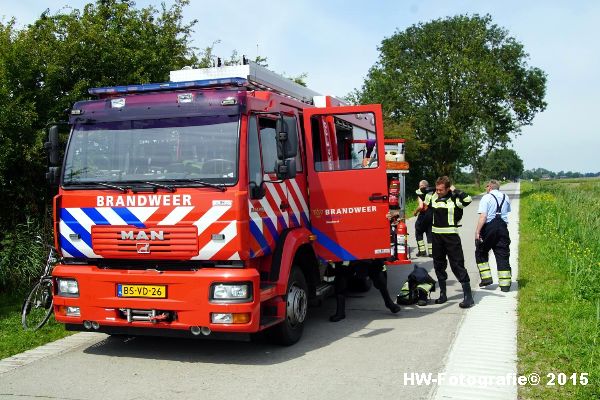 Henry-Wallinga©-Koe-Rechterensweg-Rouveen-04