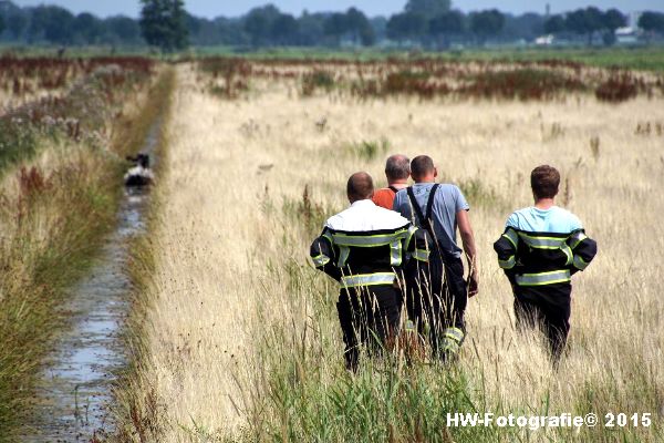 Henry-Wallinga©-Koe-Rechterensweg-Rouveen-08