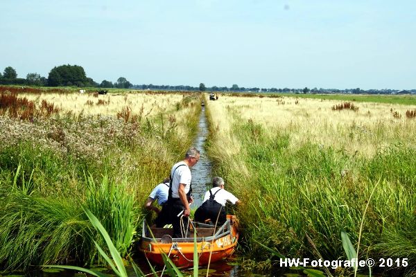 Henry-Wallinga©-Koe-Rechterensweg-Rouveen-09