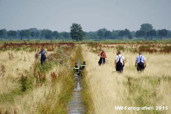 Henry-Wallinga©-Koe-Rechterensweg-Rouveen-11