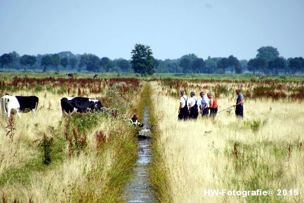 Henry-Wallinga©-Koe-Rechterensweg-Rouveen-12