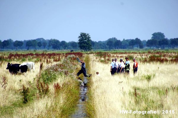 Henry-Wallinga©-Koe-Rechterensweg-Rouveen-13