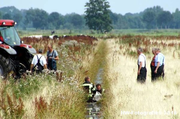 Henry-Wallinga©-Koe-Rechterensweg-Rouveen-15