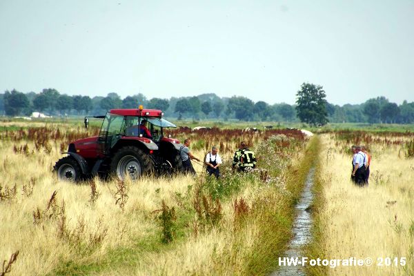 Henry-Wallinga©-Koe-Rechterensweg-Rouveen-16