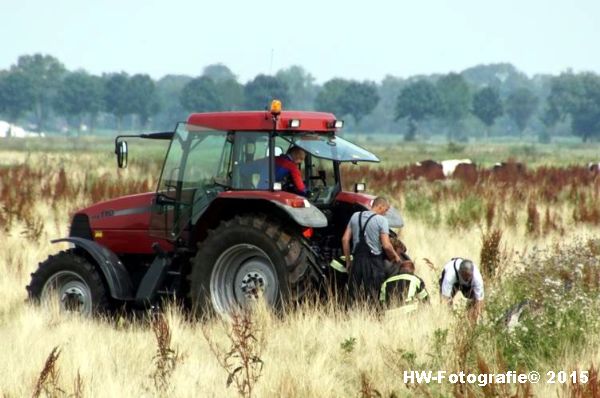 Henry-Wallinga©-Koe-Rechterensweg-Rouveen-17