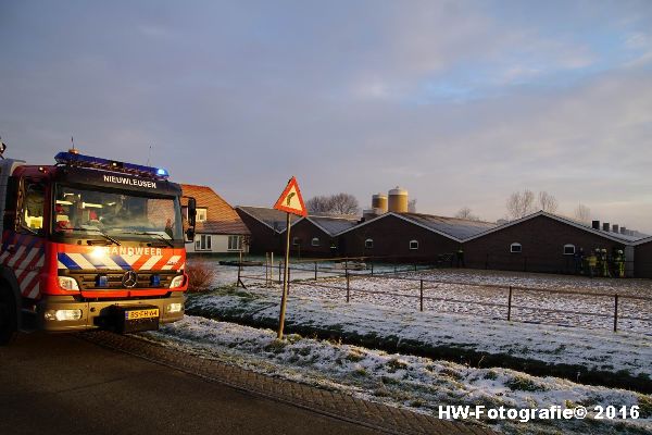 Henry-Wallinga©-Brand-Varkensstal-Zwolle-01