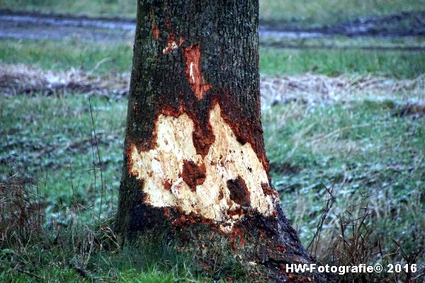 Henry-Wallinga©-Ongeval-Lageweg-Ossenzijl-17