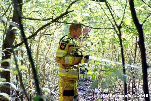 Henry-Wallinga©-Bosbrand-Schotsweg-Staphorst-03