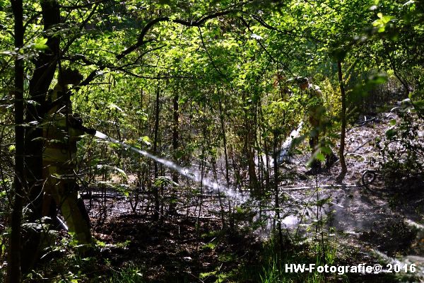 Henry-Wallinga©-Bosbrand-Schotsweg-Staphorst-04