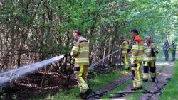 Henry-Wallinga©-Bosbrand-Schotsweg-Staphorst-06