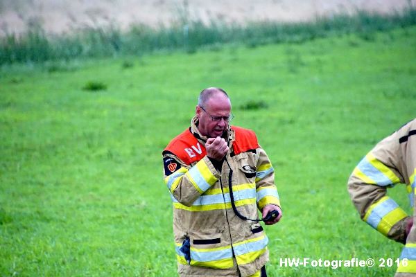 Henry-Wallinga©-Koe-Rechterensweg-2-Rouveen-10