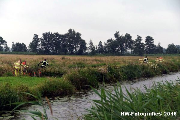 Henry-Wallinga©-Koe-Rechterensweg-2-Rouveen-13