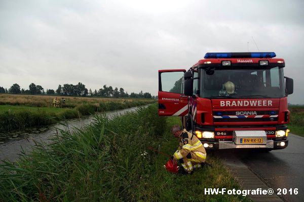 Henry-Wallinga©-Koe-Rechterensweg-2-Rouveen-14