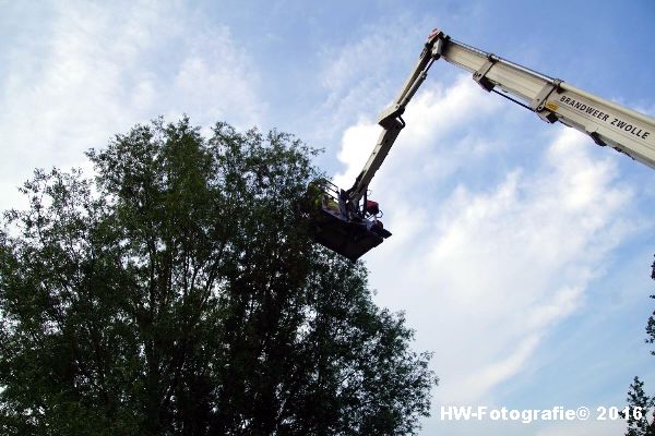 Henry-Wallinga©-Poes-Hooibergen-Hasselt-07