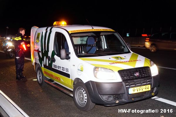 henry-wallinga-ongeval-hond-a28-rouveen-04