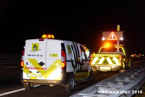 henry-wallinga-ongeval-hond-a28-rouveen-06