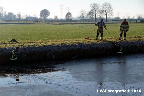 henry-wallinga-ree-hogenbergweg-hasselt-06