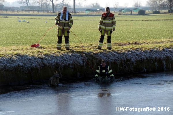 henry-wallinga-ree-hogenbergweg-hasselt-07