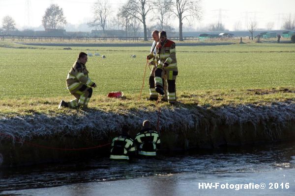 henry-wallinga-ree-hogenbergweg-hasselt-10